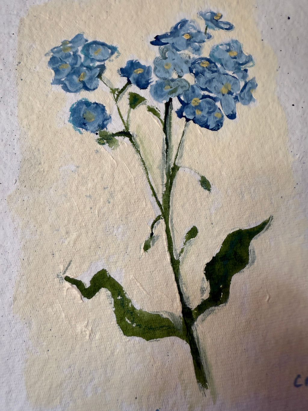 10" X 13" Forget Me Not Painting by Catherine Meyer on Textured Paper 1