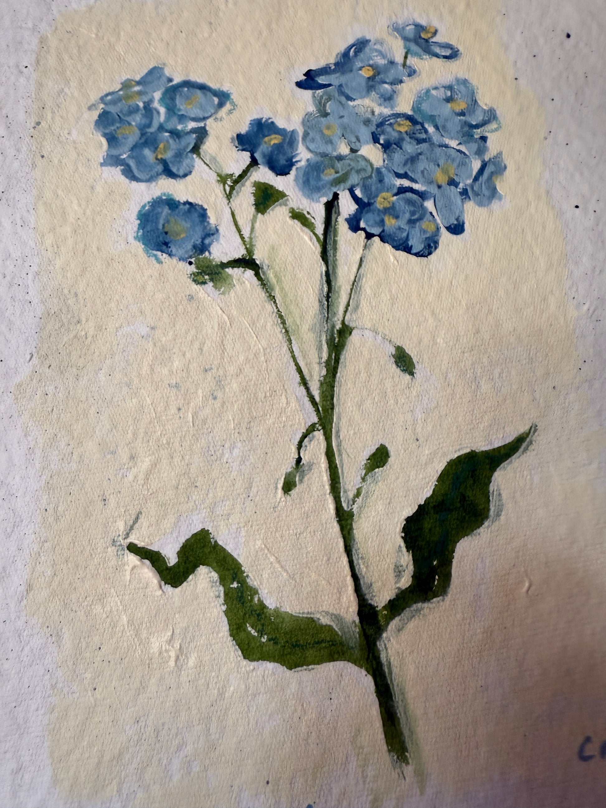 10" X 13" Forget Me Not Painting by Catherine Meyer on Textured Paper 1