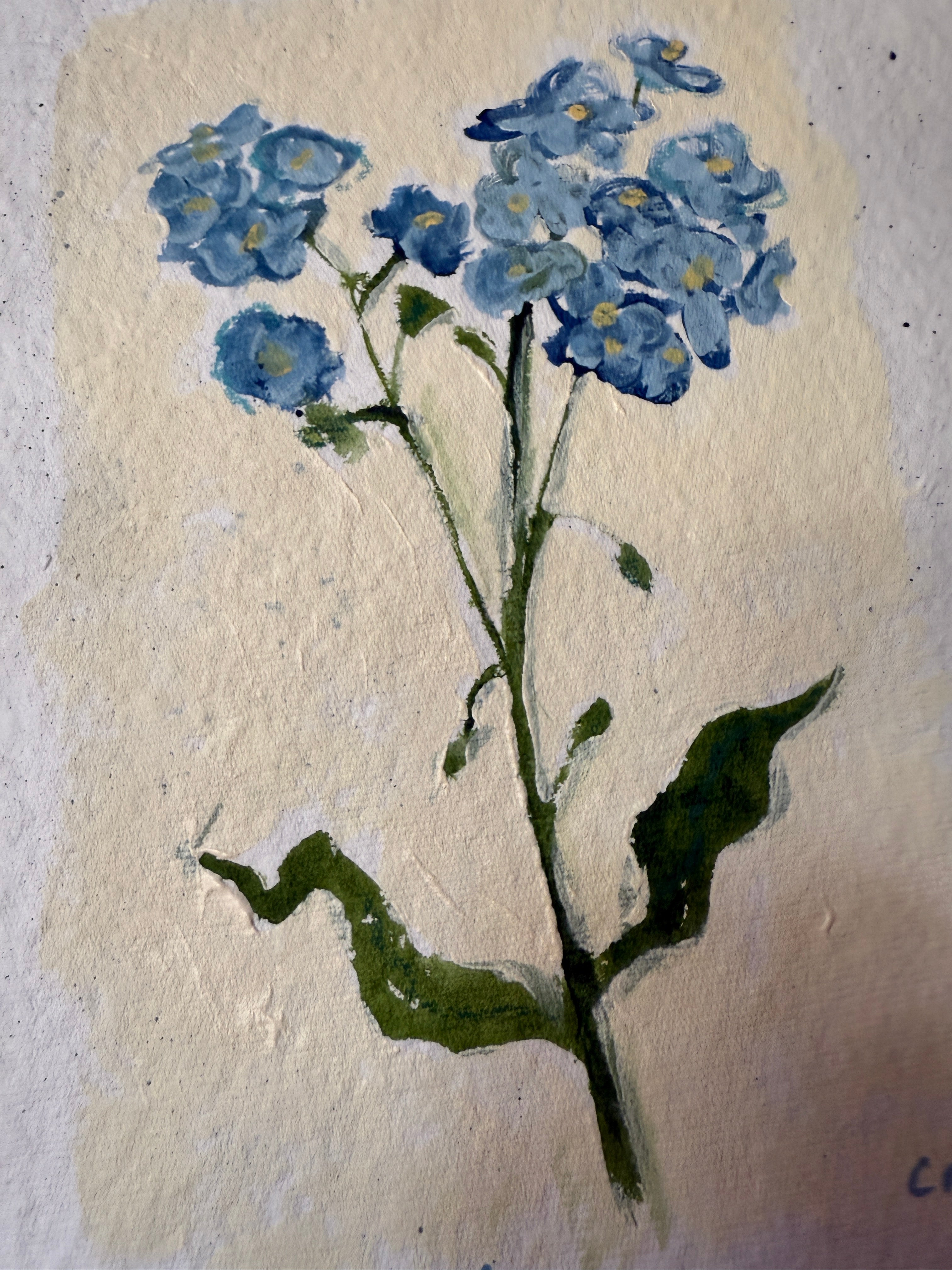 10" X 13" Forget Me Not Painting by Catherine Meyer on Textured Paper 1